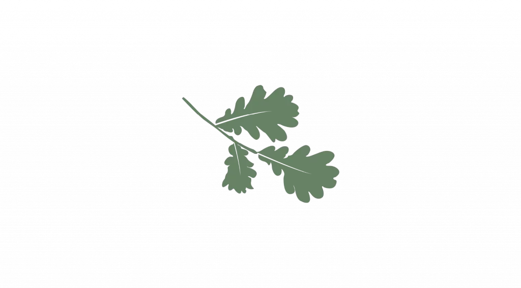 Good Health Naturally Icon